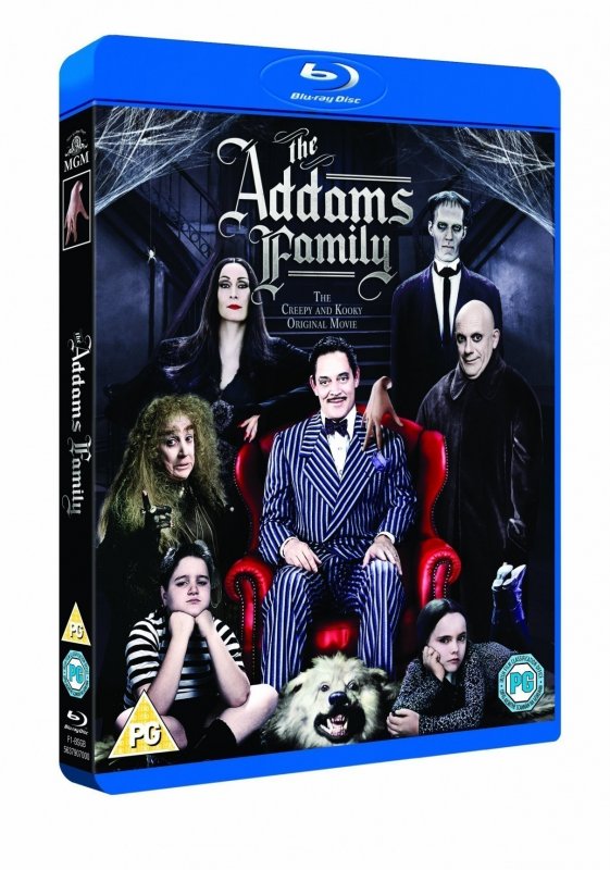 亚当斯一家 The Addams Family 1991 BluRay 1080p DTS x264-CHD 8.78G-1.jpg