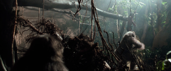 泰山王子 Greystoke.The.Legend.of.Tarzan.1984.1080p.BluRay.X264-AMIABLE 12.03G-7.jpg