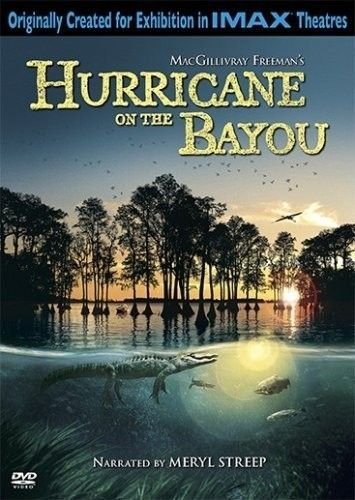 海湾的飓风 IMAX.Hurricane.On.The.Bayou.2006.1080p.BluRay.x264-CLASSiC 4.36GB-1.jpg