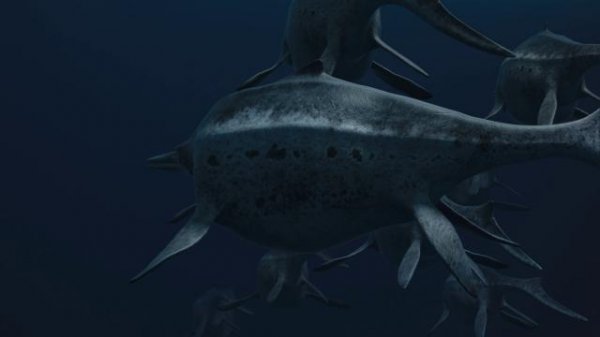 雷克斯海3D:史宿天下/海中霸王龙 Sea.Rex.Journey.To.A.Prehistoric.World.2010.1080p.BluRay.x264-AiHD 3.28GB-4.png