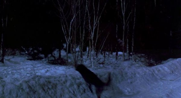 狼人生死恋/狼人 Wolf.1993.1080p.Bluray.X264-DIMENSION 10.93GB-2.png