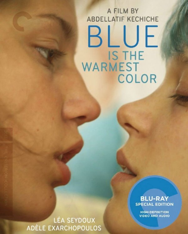 CC标准版.阿黛尔的生活.Blue Is the Warmest Color.2013.FR.CC.#695.BluRay.1920x804p.x2-1.jpg