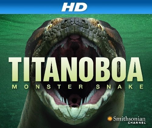 泰坦巨蟒 Titanoboa.Monster.Snake.2012.1080p.BluRay.x264-SADPANDA 6.55GB-1.jpg