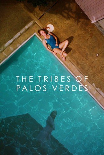 帕洛斯弗迪斯的部落 The.Tribes.of.Palos.Verdes.2017.1080p.BluRay.x264.DTS-MT 11.11GB-1.jpg