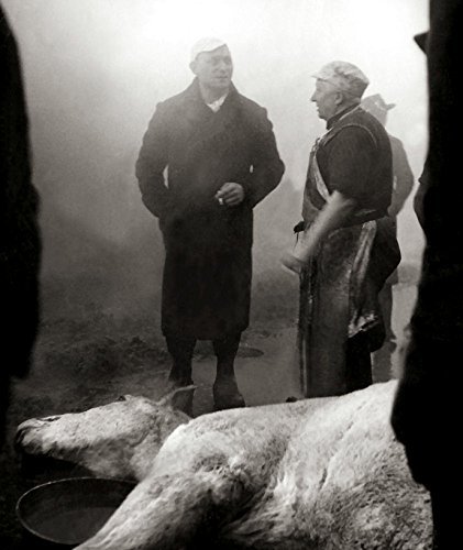 动物之血/禽兽的血 Blood.of.the.Beasts.1949.1080p.BluRay.x264-BiPOLAR 1.45GB-1.jpg