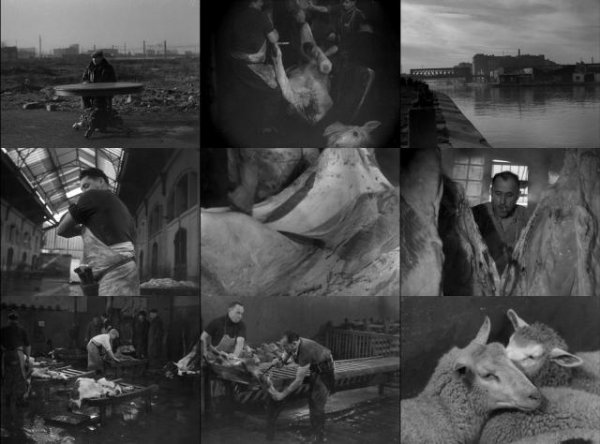 动物之血/禽兽的血 Blood.of.the.Beasts.1949.1080p.BluRay.x264-BiPOLAR 1.45GB-2.jpg