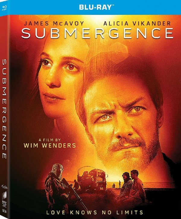 沉没 Submergence 2017 BluRay 1080p DTS x264-CHD 8.9GB-1.jpg