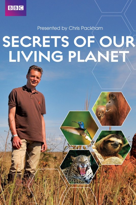 我们星球的奥秘/地球探秘 Secrets.of.our.Living.Planet.2012.1080p.BluRay.DTS.x264-HDCLUB 20.1-1.jpg