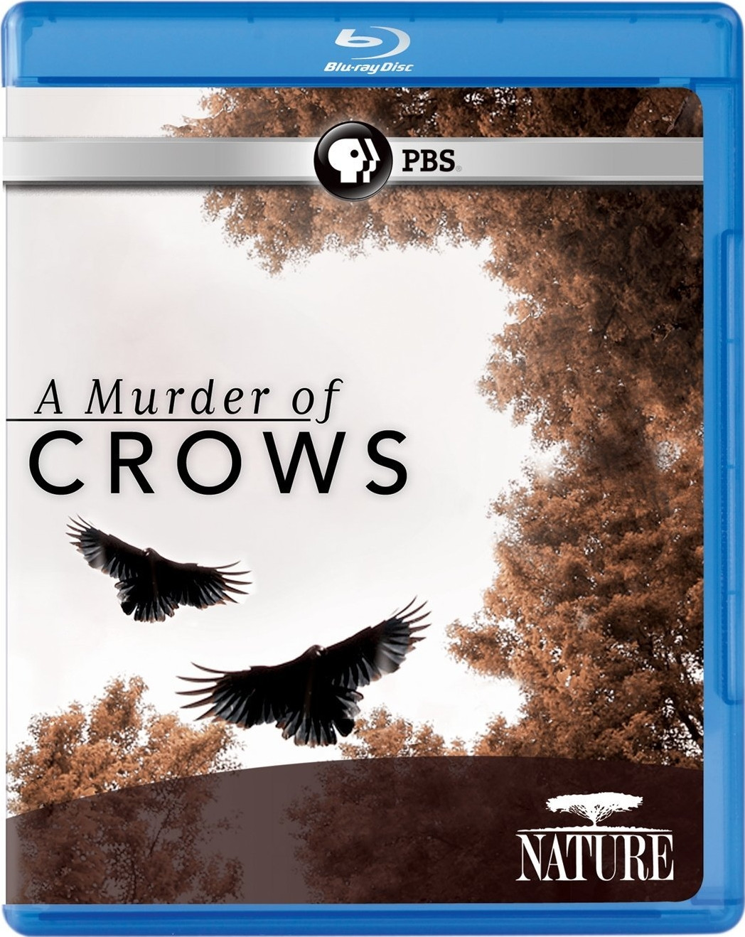 乌鸦 Nature.A.Murder.Of.Crows.2010.1080p.BluRay.x264-0x539 4.37GB-1.jpg