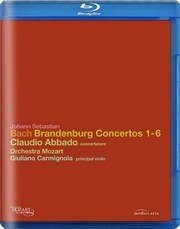 勃兰登堡协奏曲 Brandenburg.Concertos.2004.BluRay.1080i.DTS.x264-CHD 8.7GB-1.jpg