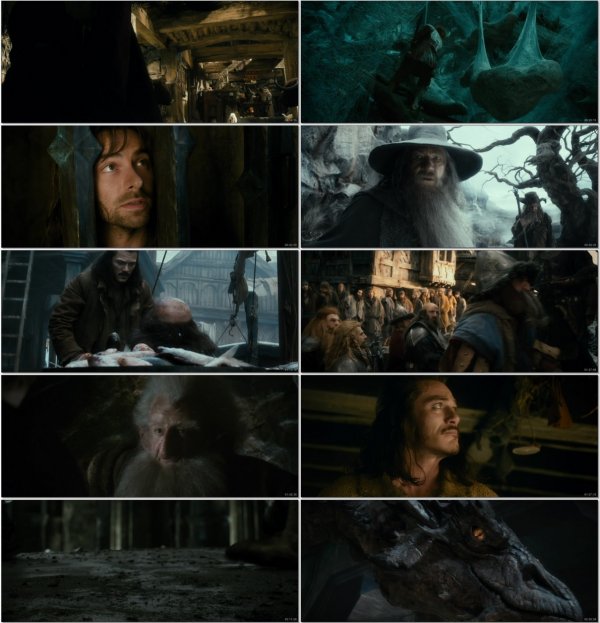 霍比特人2 The.Hobbit.The.Desolation.of.Smaug.2013.BluRay.1080p.DTS.x264-CHD 14.26 GB-13.jpg