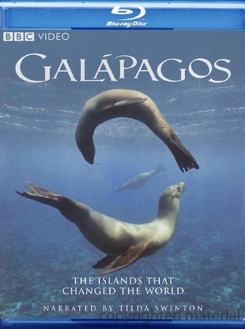加拉帕格斯三集全[国/粤/英]Galapagos.2007.Bluray.1080p.AC3.3Audio.x264-CHD 13GB-1.jpg