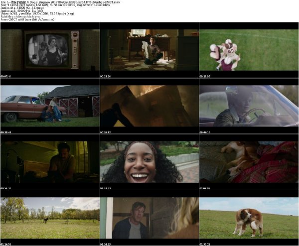 [一条狗的使命].2017.BluRay.1080p.x264.DTS.2Audios-CMCT[国英双语/中英字幕/8.5G]-2.jpg