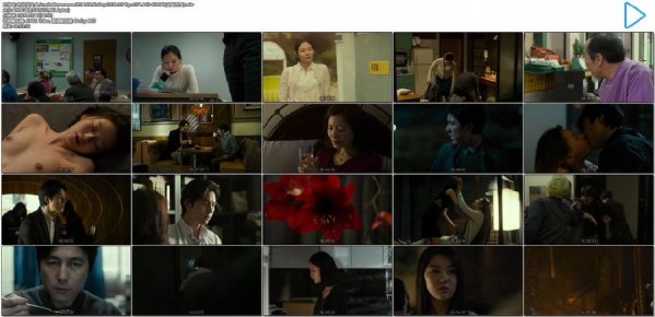 布拉芙夫人.Scarlet Innocence.2014.KR.BluRay.1920x1040p.x264.AC3-KOOK.[中英双字]7.98-2.jpg