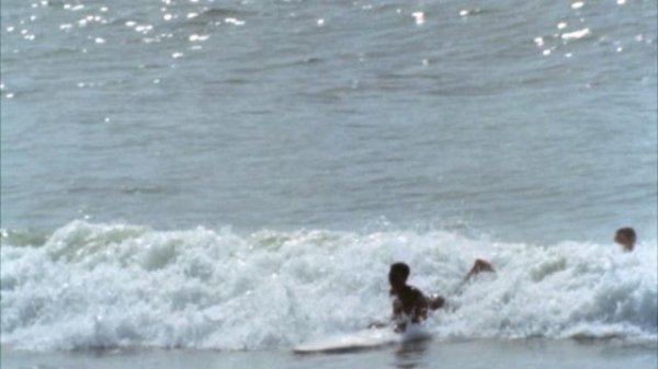 无尽之夏 The.Endless.Summer.1966.1080p.BluRay.x264-PHASE 8.74GB-6.png