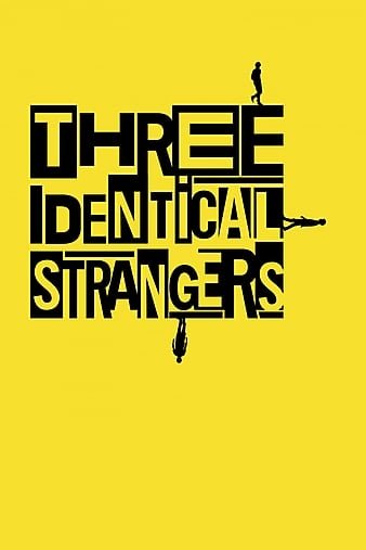 孪生陌生人 Three.Identical.Strangers.2018.1080p.BluRay.REMUX.AVC.DTS-HD.MA.5.1-FGT 16.54GB-1.jpg