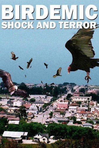 群鸟:震动和可骇 Birdemic.Shock.And.Terror.2010.1080p.BluRay.x264-UNTOUCHABLES 6.55GB-1.jpg