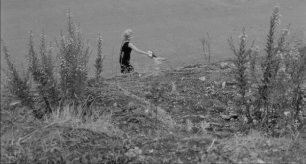 蚀/欲海害羞花 L.Eclisse.1962.1080p.BluRay.x264-DeBTViD 7.65GB-4.png
