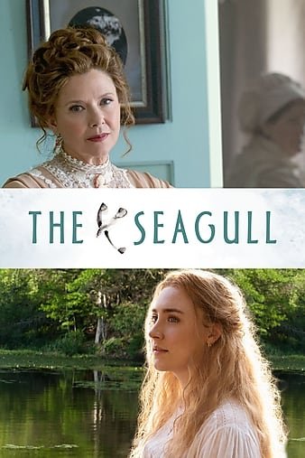 海鸥 The.Seagull.2018.1080p.BluRay.AVC.DTS-HD.MA.5.1-COASTER 31.23GB-1.jpg