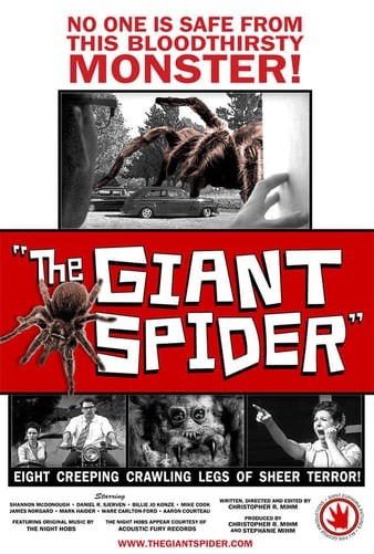 巨型蜘蛛 The.Giant.Spider.2013.720p.WEBRip.x264-iNTENSO 2.77GB-1.jpg