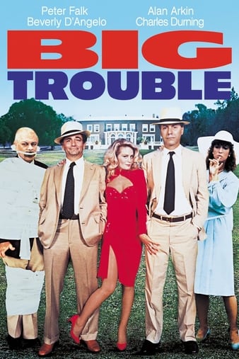 谨慎眼大诡计/大麻烦 Big.Trouble.1986.1080p.WEB-DL.DD2.0.H264-FGT 3.52GB-1.png