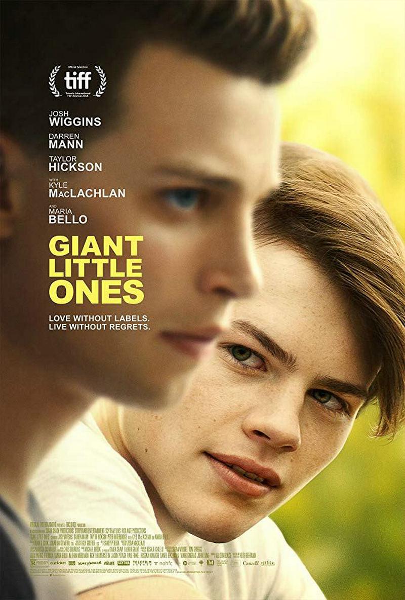 小小伟人 Giant.Little.Ones.2018.1080p.WEB-DL.DD5.1.H264-FGT 3.22GB-1.png