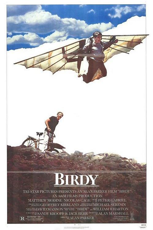 鸟人/追鸟 Birdy.1984.720p.BluRay.x264-SiNNERS 6.55GB-1.png