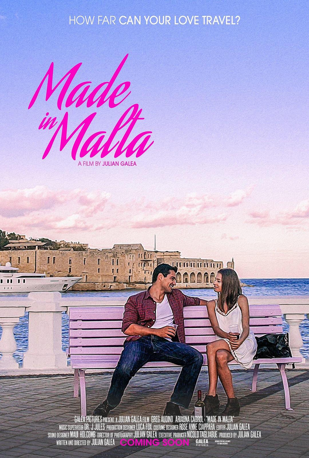 马耳“她”/马耳他制造 Made.In.Malta.2019.1080p.WEB-DL.DD5.1.H264-FGT 3.12GB-1.png