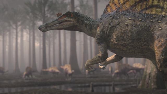 恐龙行星:终极杀手 Planet.Dinosaur.2012.1080p.BluRay.x264-MOOVEE 4.37GB-2.png