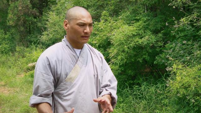中华功夫 Secrets.of.Shaolin.with.Jason.Scott.Lee.2012.1080p.BluRay.x264-PussyFoot 4.37GB-2.png