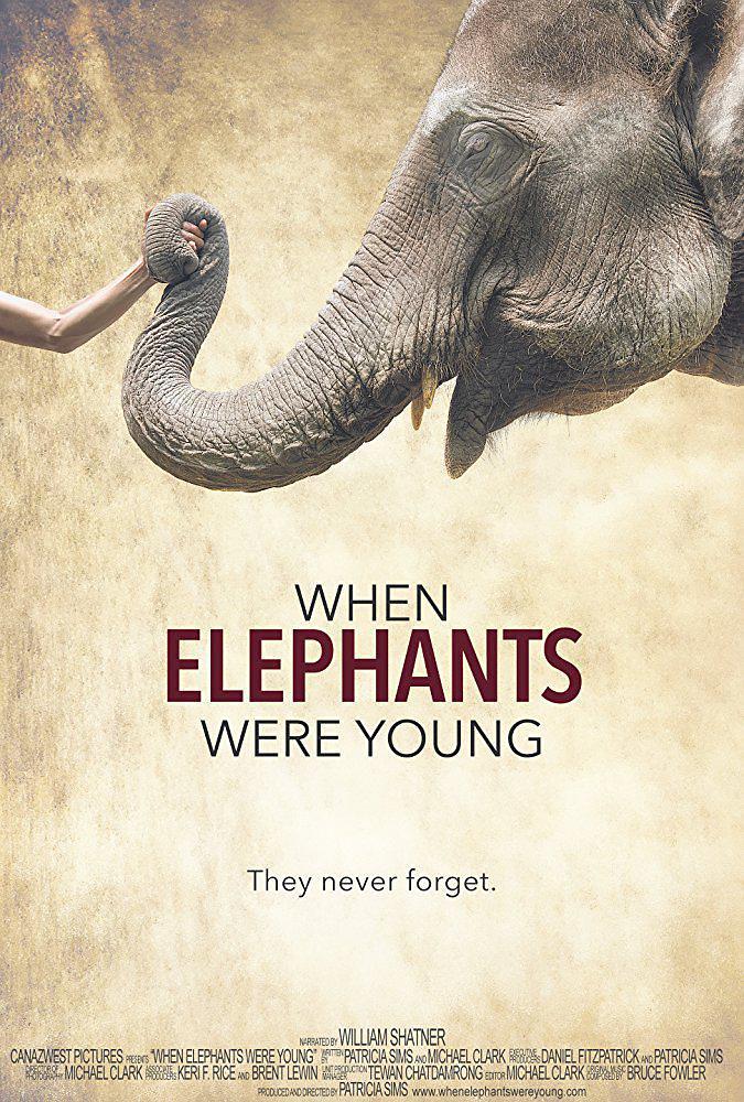 大象年幼时 When.Elephants.Were.Young.2016.1080p.BluRay.x264-W4F 6.56GB-1.jpg