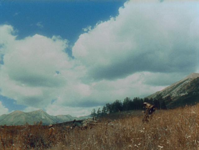 加勒比人的踪影 The.Cariboo.Trail.1950.1080p.BluRay.x264.DTS-FGT 7.56GB-4.png