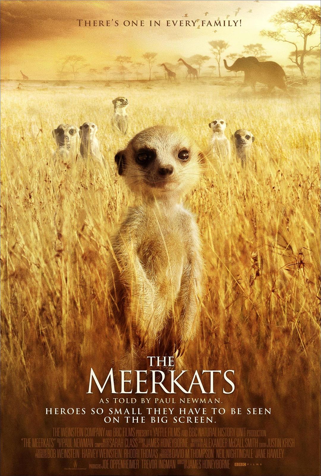 蒙哥/狐獴家庭 The.Meerkats.2008.1080p.BluRay.x264.DTS-FGT 7.56GB-1.png