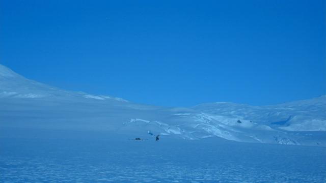 南极洲/南极物语 IMAX.Antarctica.1991.1080p.BluRay.x264-CLASSiC 3.28GB-5.png
