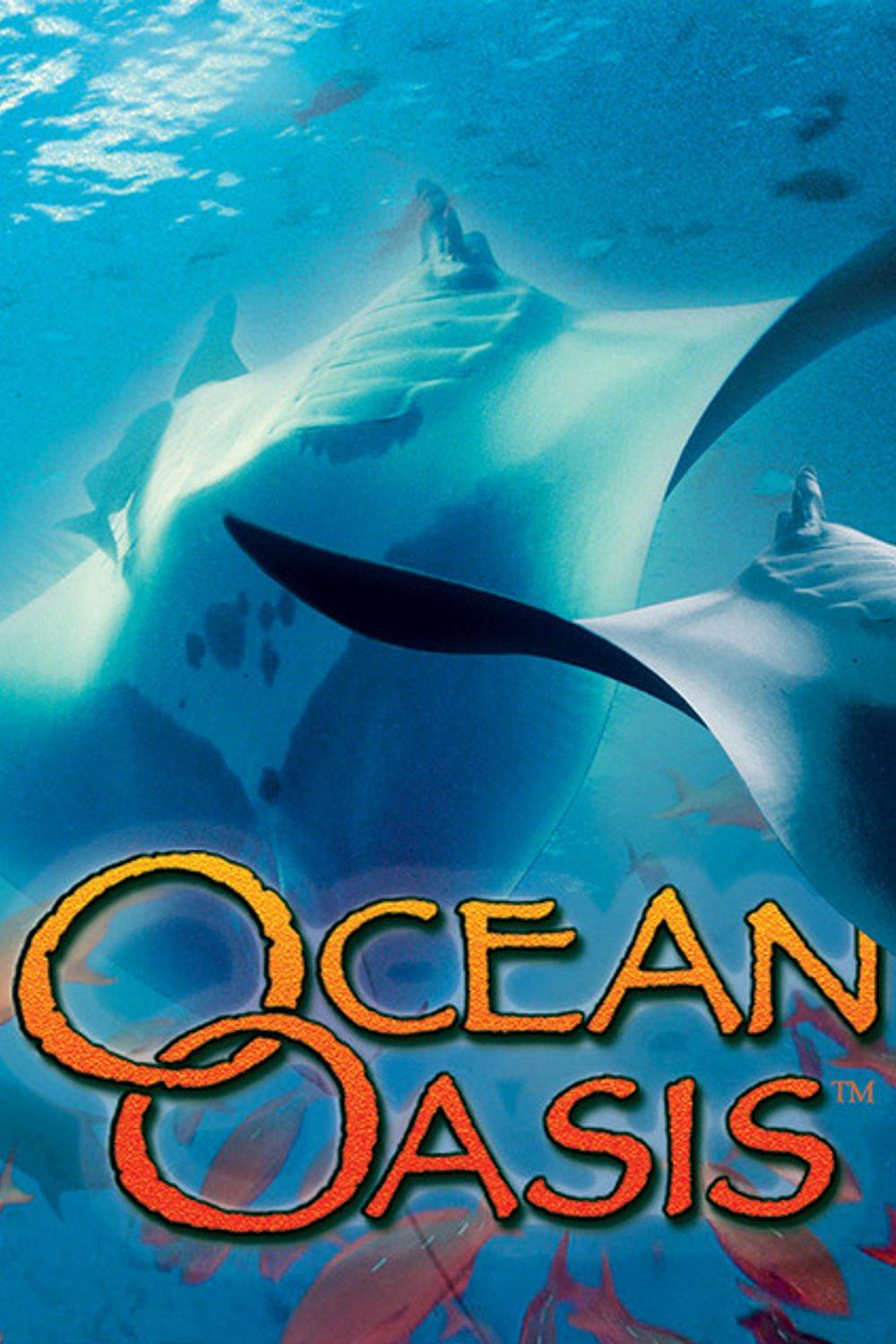 陆地绿洲/深海绿洲 IMAX.Ocean.Oasis.2000.1080p.BluRay.x264-BRMP 3.29GB-1.png