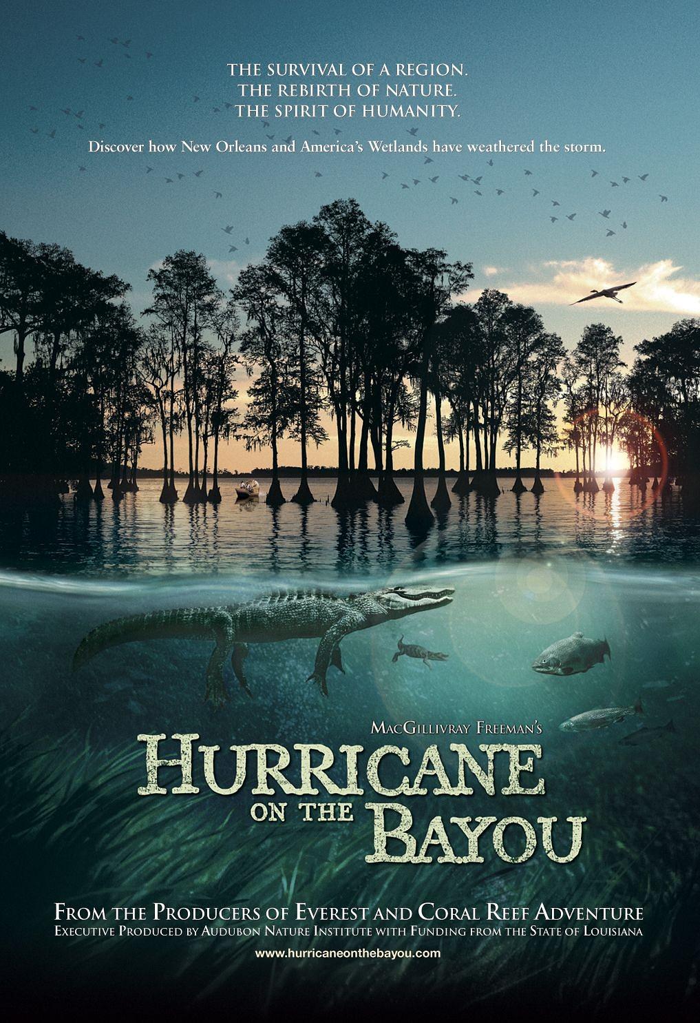 海湾的飓风 IMAX.Hurricane.On.The.Bayou.2006.1080p.BluRay.x264-CLASSiC 4.36GB-1.png