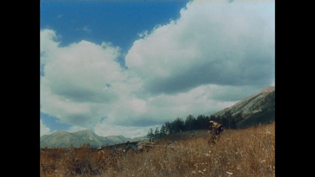 加勒比人的踪影 The.Cariboo.Trail.1950.1080p.BluRay.REMUX.AVC.DTS-HD.MA.2.0-FGT 16.01GB-4.png