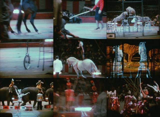 马戏团日志 Notes.on.the.Circus.1966.1080p.BluRay.x264-BiPOLAR 1.09GB-2.png
