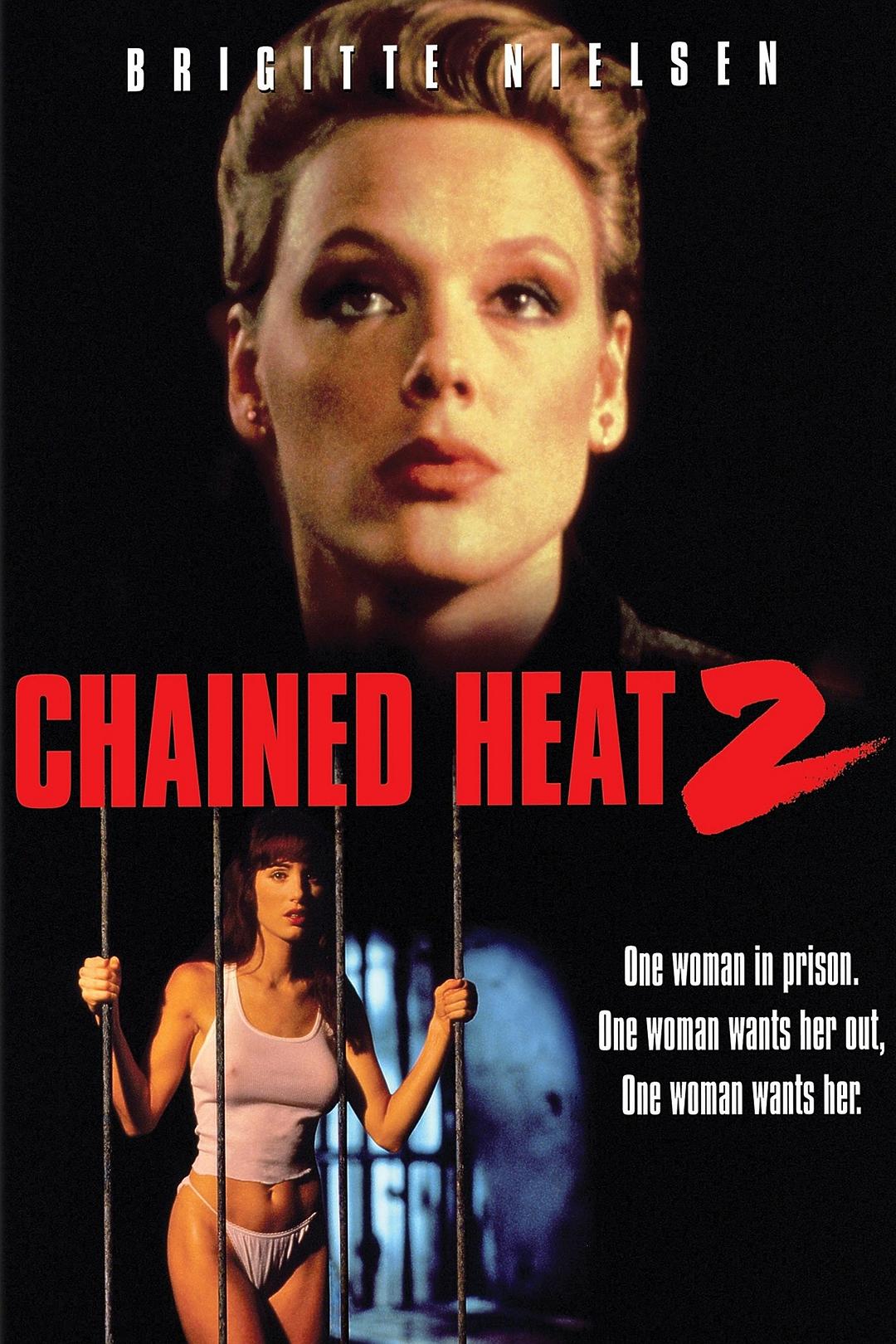 魔鬼黑狱 Chained.Heat.II.1993.1080p.AMZN.WEBRip.DDP2.0.x264-NTb 10.13GB-1.png