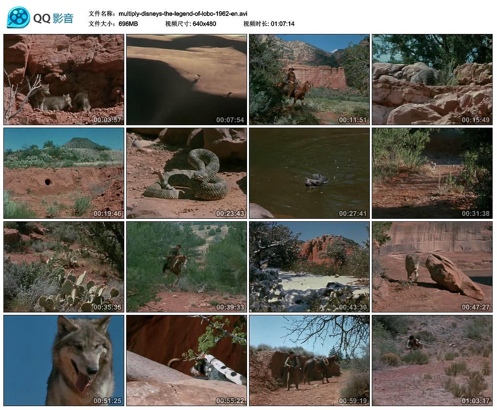 狼的传闻 The.Legend.Of.Lobo.1962.1080p.AMZN.WEBRip.DDP2.0.x264-QOQ 7.12GB-1.png