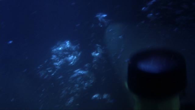 深海狂鲨2/深海巨鲨2 Shark.Attack.2.2001.1080p.AMZN.WEBRip.AAC2.0.x264-QOQ 6.54GB-2.png