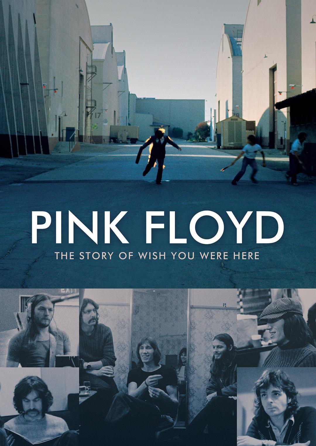 平克·弗洛伊德:愿你在此的故事 Pink.Floyd.The.Story.Of.Wish.You.Were.Here.2012.1080p.BluRay.x264.DTS-FGT 7.41GB-1.png