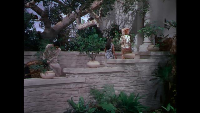 蚂蚁雄兵 The.Naked.Jungle.1954.1080p.AMZN.WEBRip.DDP2.0.x264-SbR 6.66GB-3.png