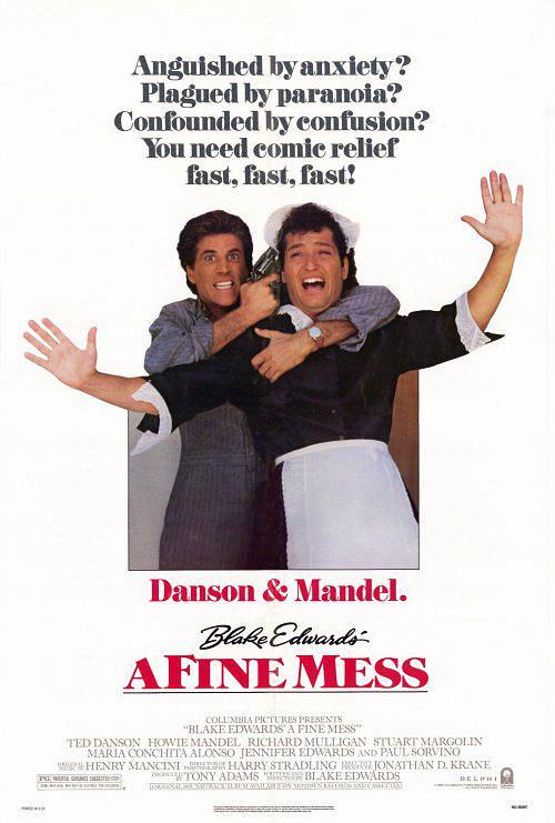 活宝战争/一镬泡 A.Fine.Mess.1986.1080p.AMZN.WEBRip.DDP2.0.x264-NTb 6.09GB-1.png