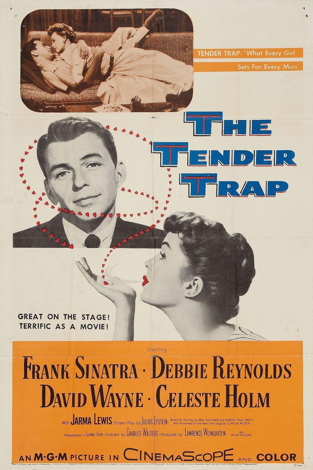 温柔陷井/爱上婚姻路 The.Tender.Trap.1955.1080p.AMZN.WEBRip.DD5.1.x264-SbR 11.61GB-1.png