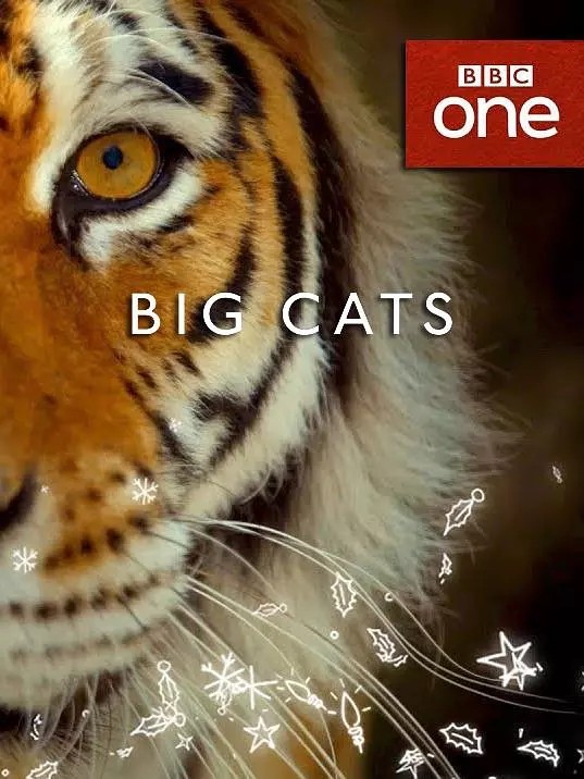 BBC：[大猫：终极猎食者][第壹季/全叁集]【DTS刘琮国语】[简繁双语殊效]Big.Cats.S01EP03.2018.1080p.AMZN.WEB.H264.dts-5.1-DVB@szsddqwx 16.48GB-1.jpg