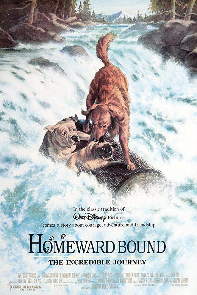 看狗在措辞/猫狗也疯狂 Homeward.Bound.The.Incredible.Journey.1993.1080p.WEBRip.x264-RARBG 1.54GB-1.png