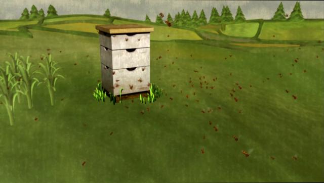 蜜蜂的消亡 Vanishing.Of.The.Bees.2009.1080p.BluRay.x264-HANDJOB 7.87GB-3.png
