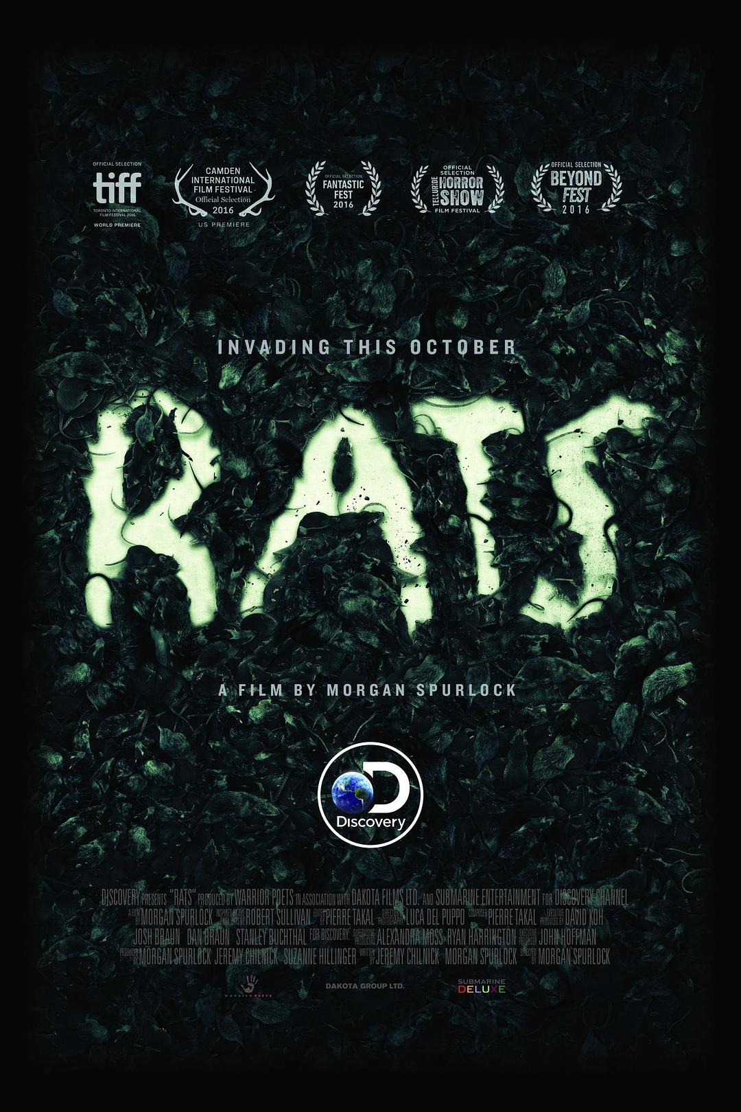 纽约鼠患 Rats.Discovery.Channel.Documentary.2016.1080p.WEBRip.x264-RARBG 1.68GB-1.png