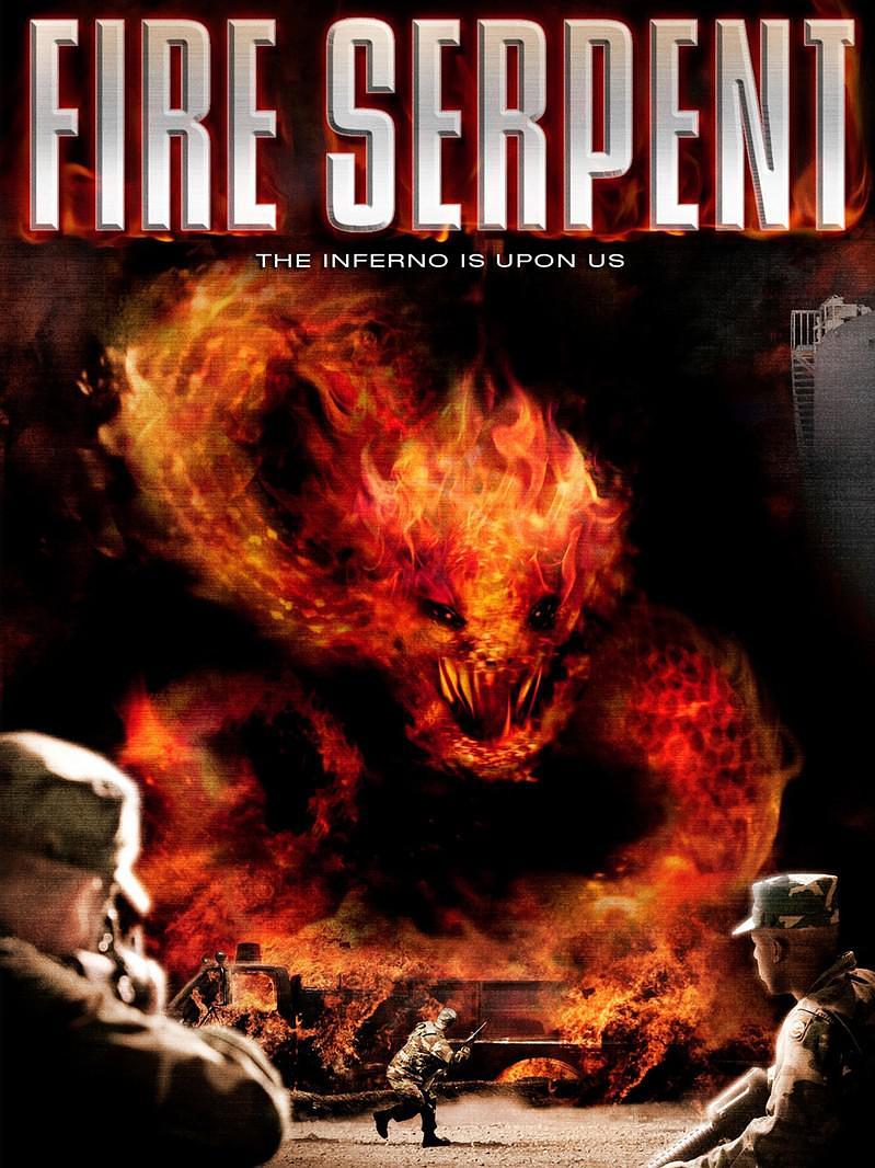 毒火巨蟒/外来火 Fire.Serpent.2007.1080p.AMZN.WEBRip.DDP2.0.x264-NTG 6.09GB-1.png